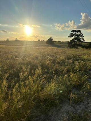 555 #C Paint Creek Rd - Photo 1