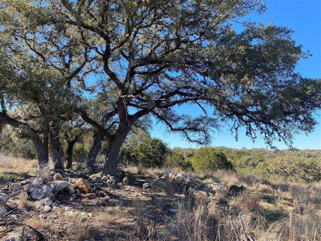 2466 Campestres - Photo 1