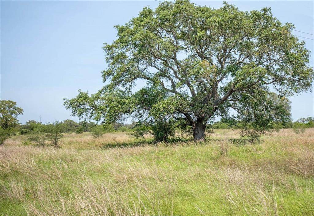 TBD Green Dewitt Rd - Photo 1