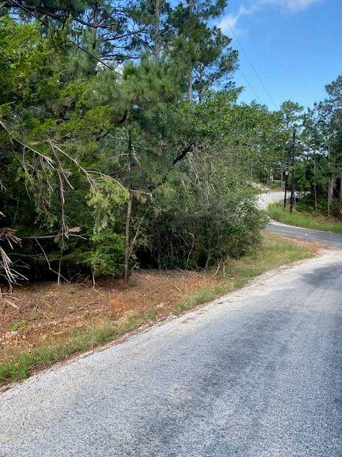 Lot 98 Akaloa Dr - Photo 1