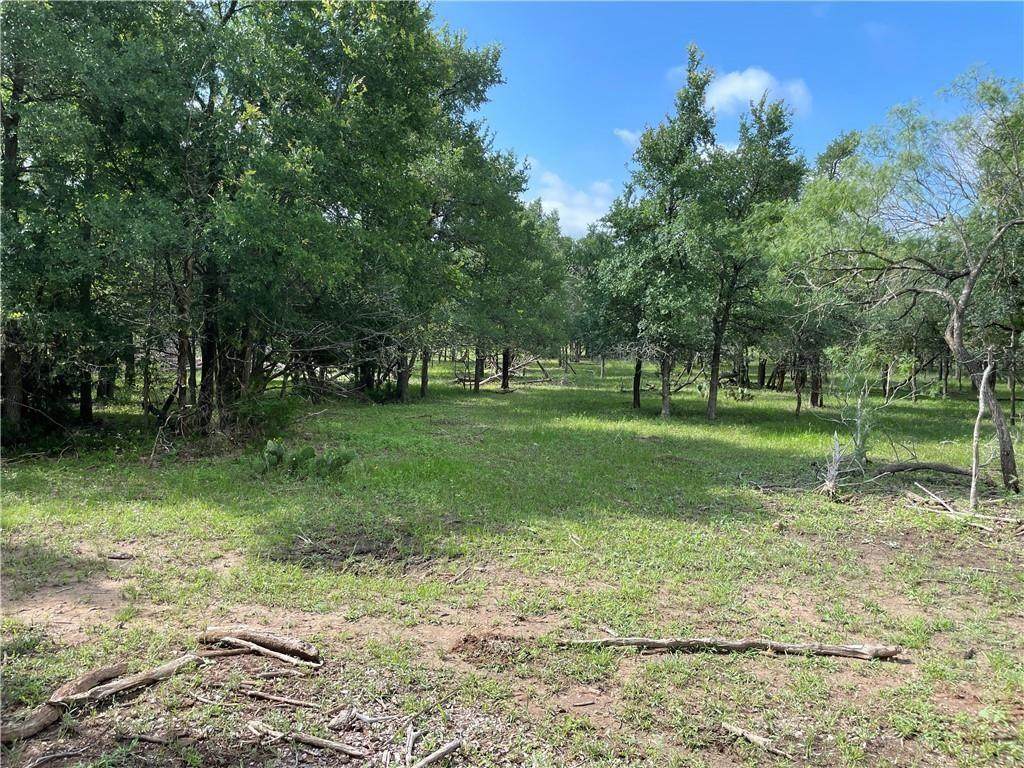 TBD Mt Pleasant Rd - Photo 1