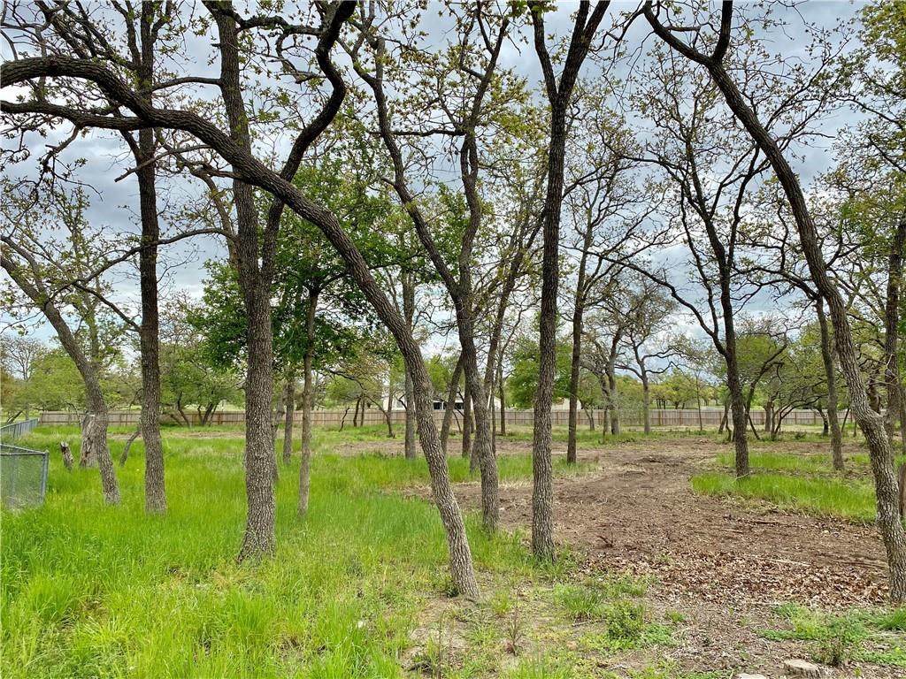 TBD County Road 229 - Photo 1