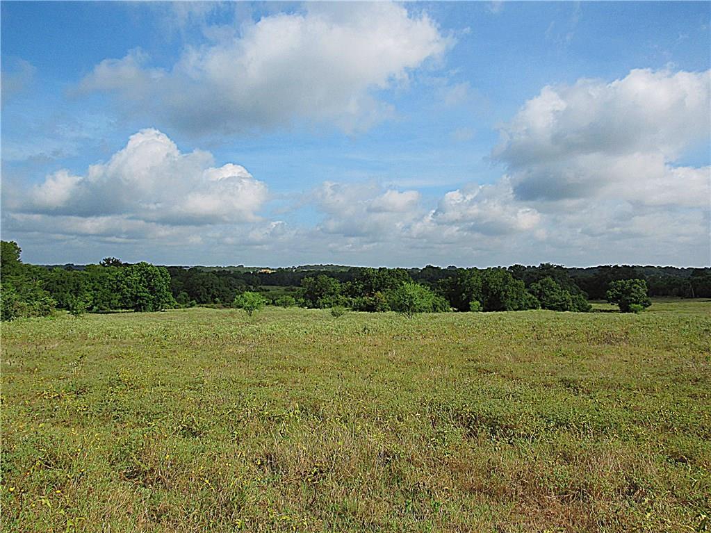 0 Old Masonic Rd & Hwy 36 - Photo 1