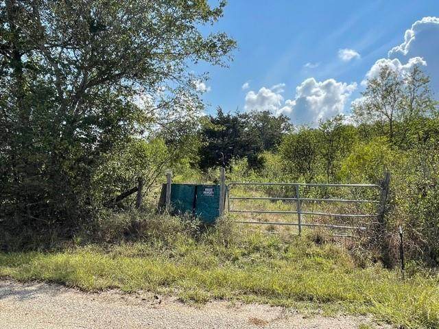 177 Fiebrich Rd - Photo 1