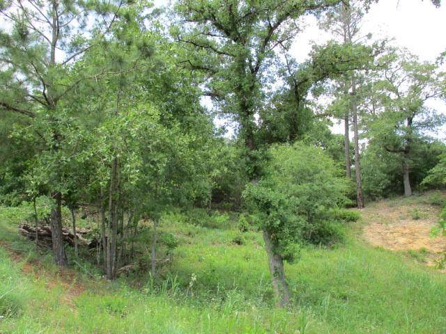 T.B.D. Pahalawe Ln - Photo 1
