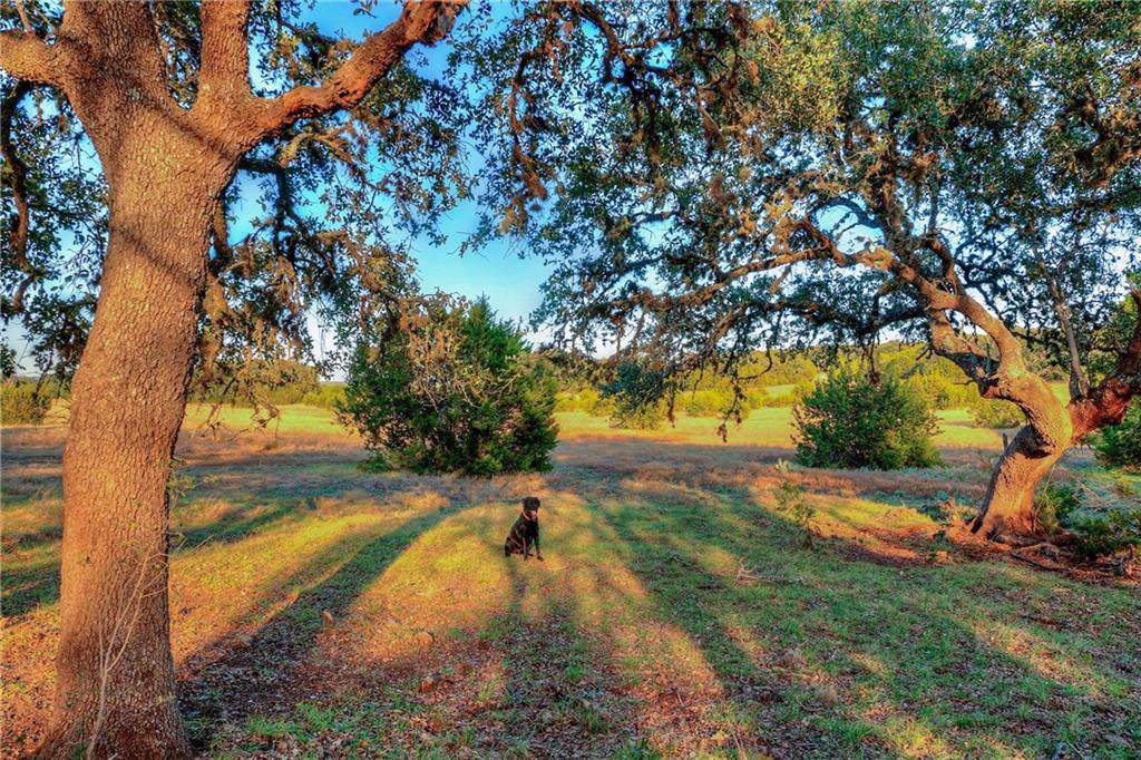 2100 Prairie View Trail Rd - Photo 1