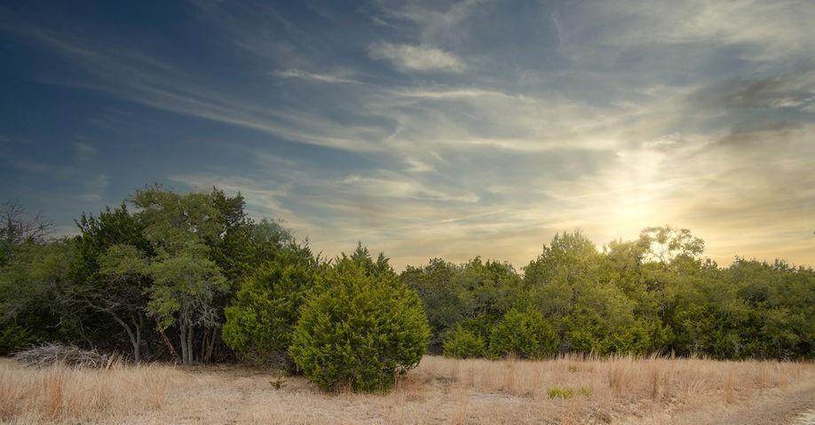 1055 Cielo Springs Dr - Photo 1