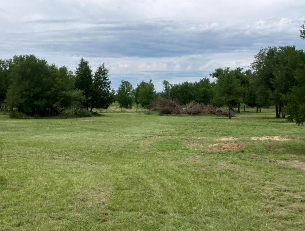 317 Pleasant Grove Loop - Photo 1
