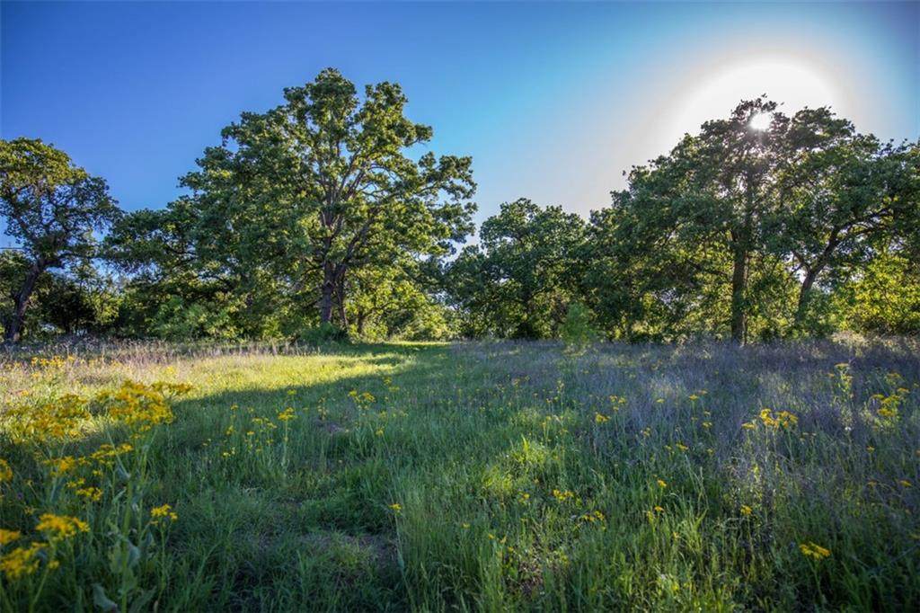 2720 Elm Creek Rd - Photo 1