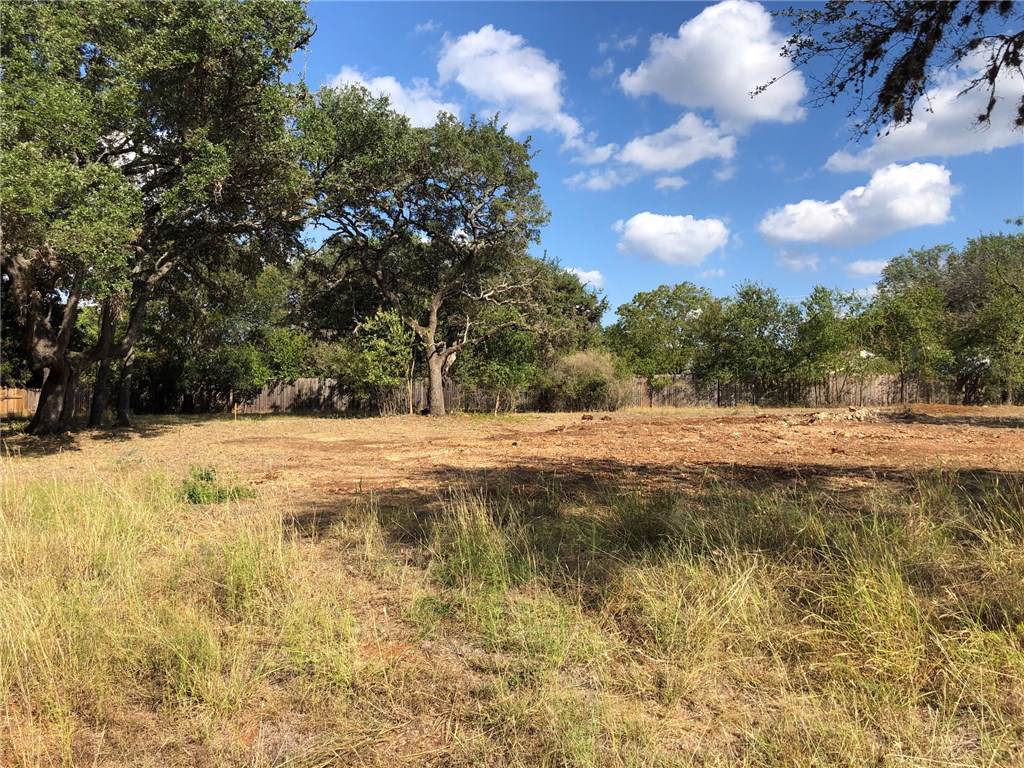 111 Leaning Oak Leaning Oak Cir - Photo 1