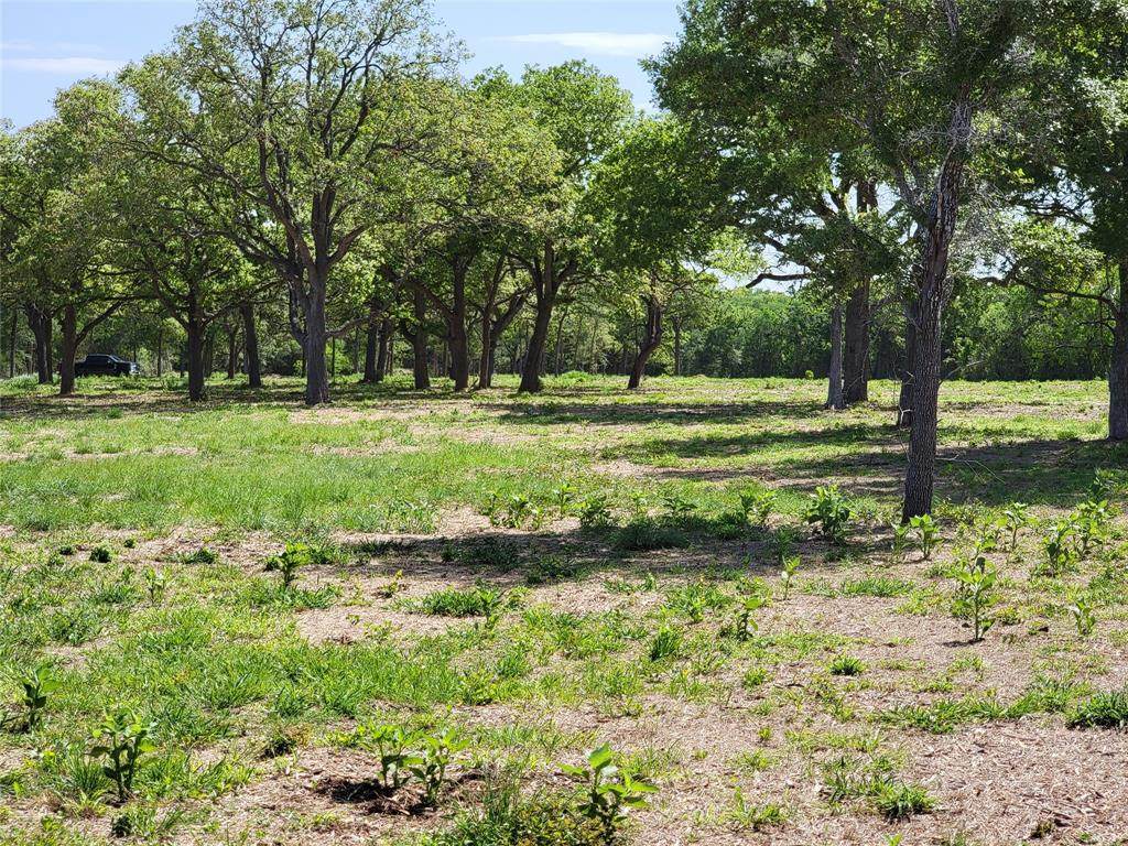 Lot 9 Jeddo Road - Photo 1