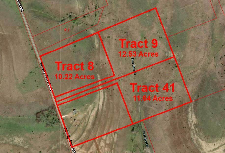 Tract 41 County Road 210B - Photo 1