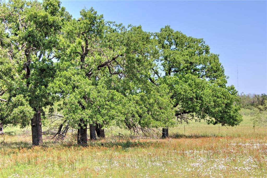 Tract 2 Fm 1323 - Photo 1