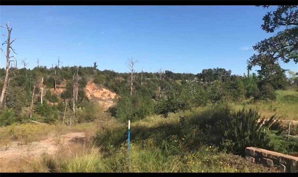 LOT 586 Otani Ct - Photo 1