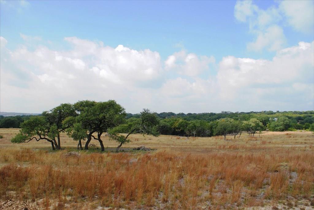 Lot 26 Medlin Creek Loop - Photo 1
