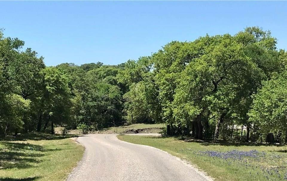000 Lot 7 Trimmier Road - Photo 1