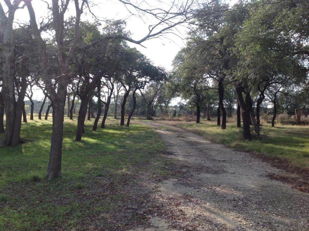 714 China Rd - Photo 1
