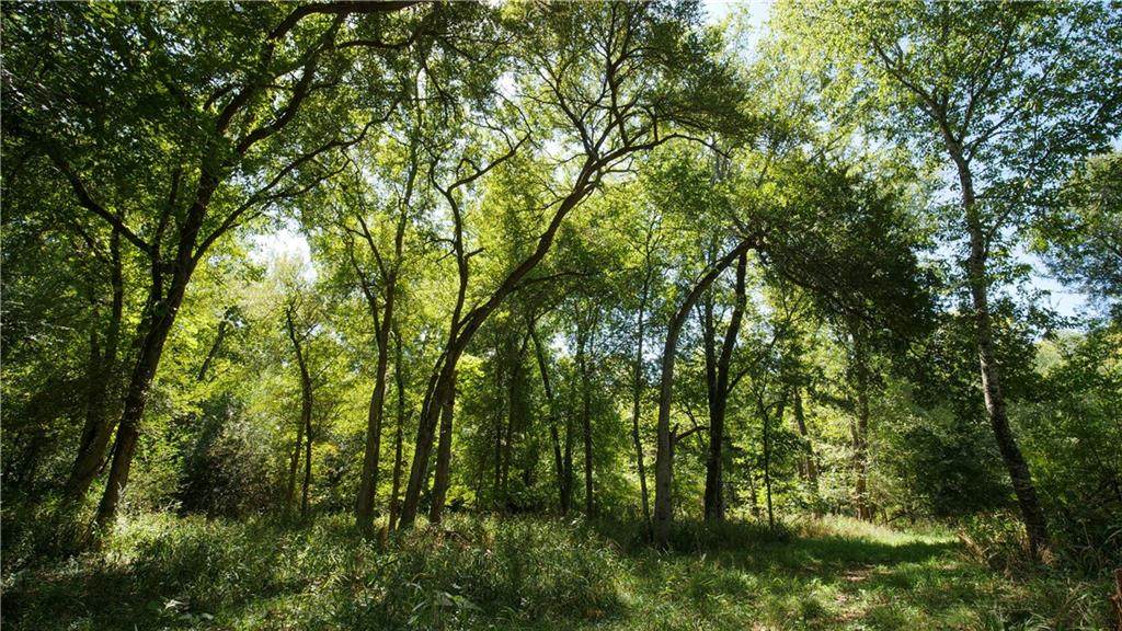 0000 Fairview Dr - Photo 1