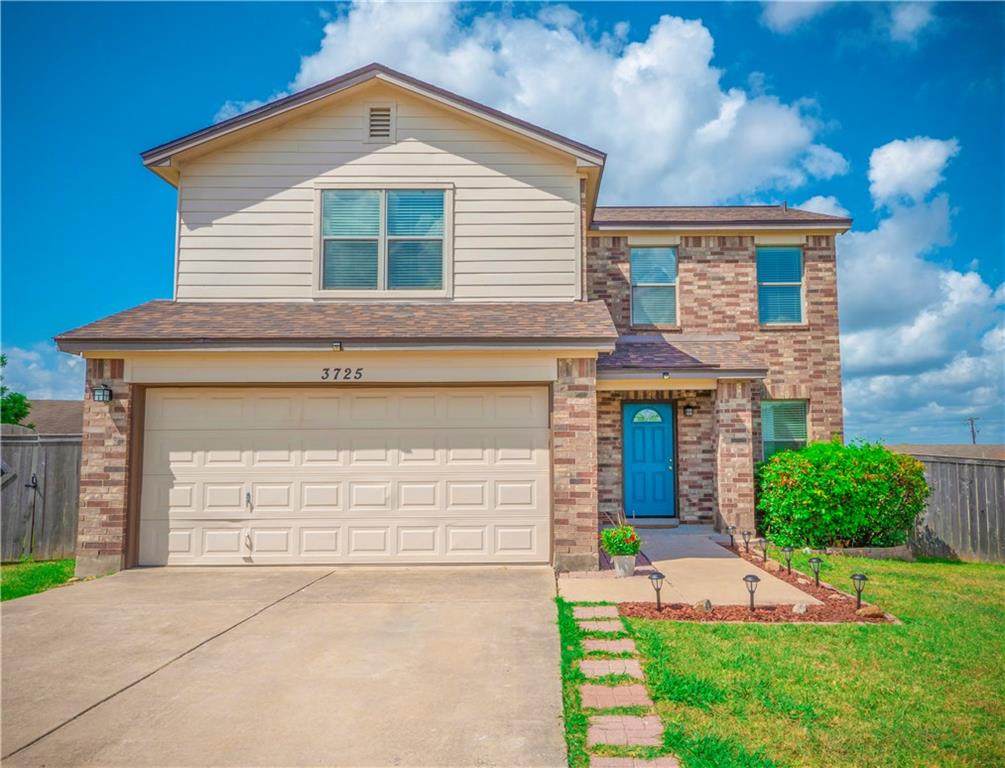 3725 Palo Pinto Cv - Photo 1
