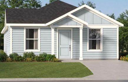 270 Northern Pintail - Photo 1