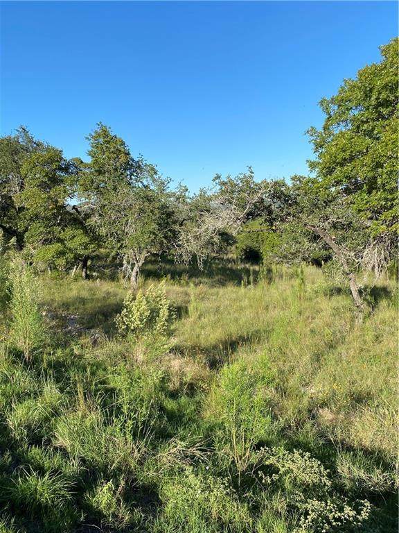 100 Billings Frst - Photo 1
