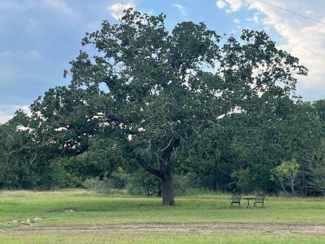 266 Catfish Ln - Photo 1