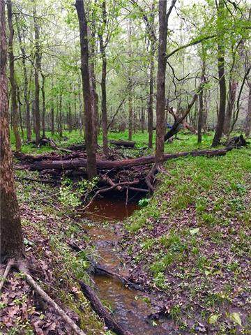 tbd County Road 308 - Photo 1