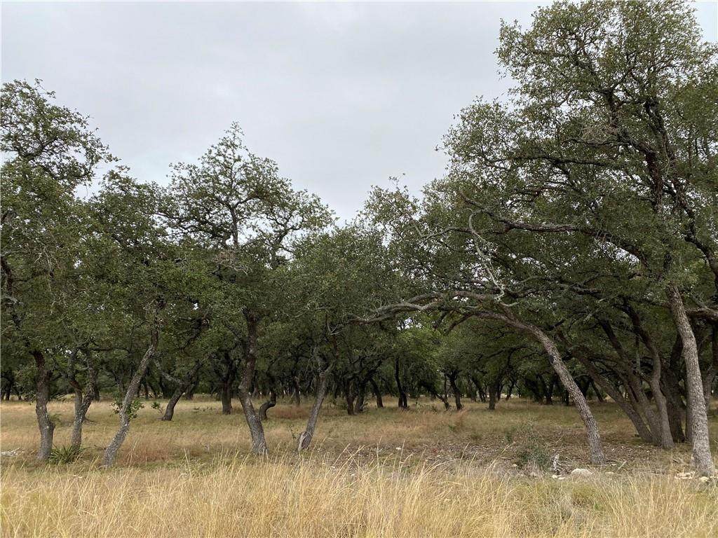 169 Oryx Ln - Photo 1