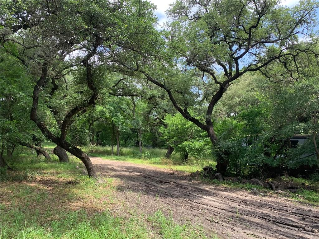 10616 Creek View Dr - Photo 1