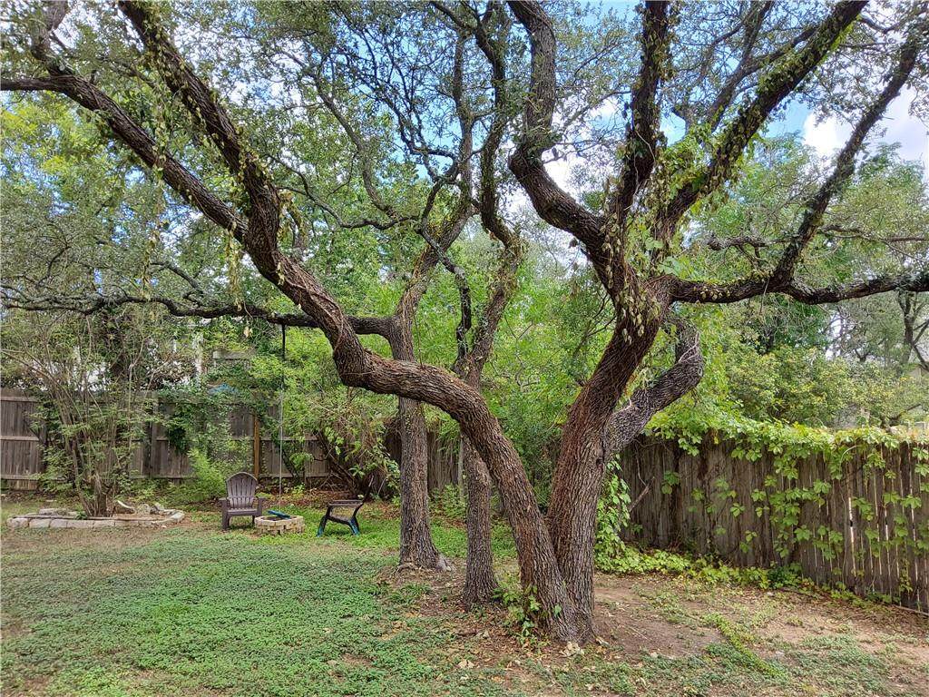 2813 Cascade Falls Dr - Photo 1