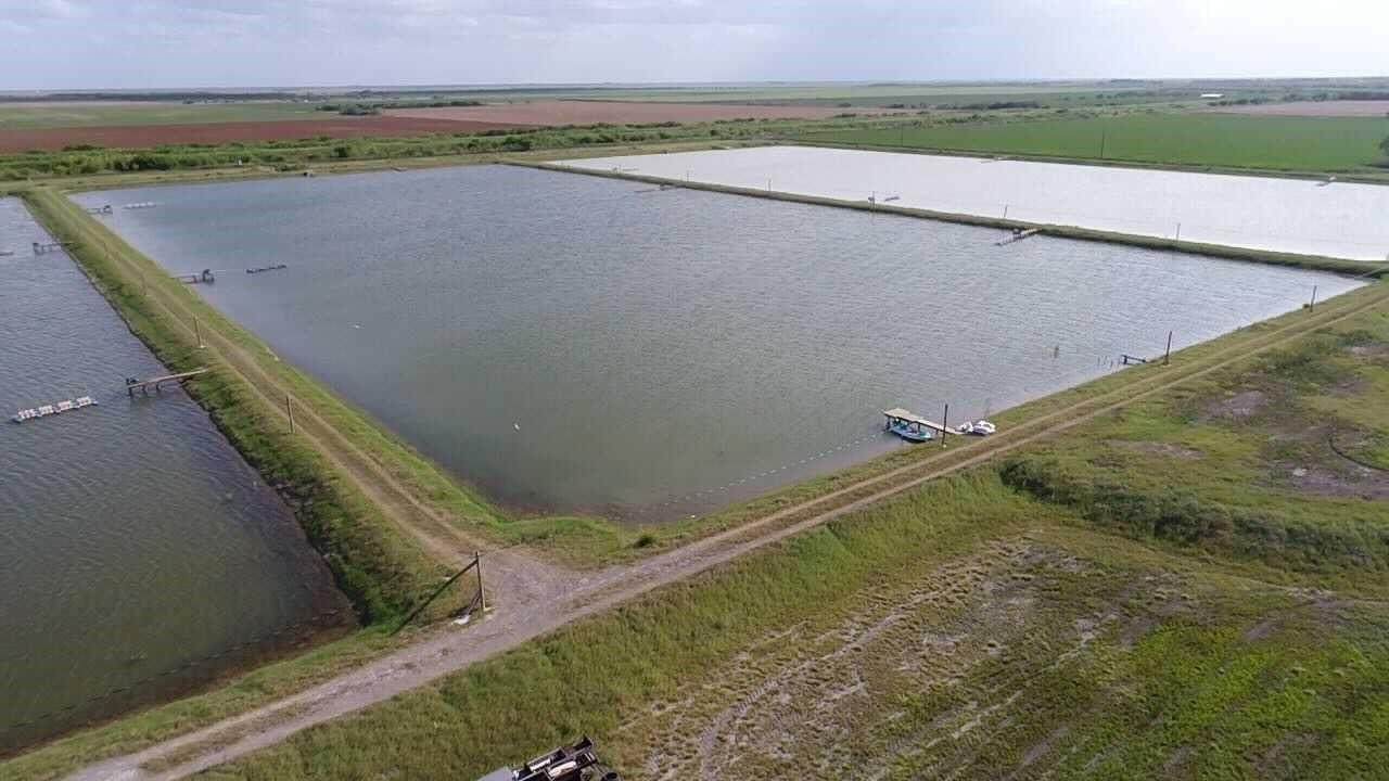 7979 Goyo Garcia Rd - Photo 1