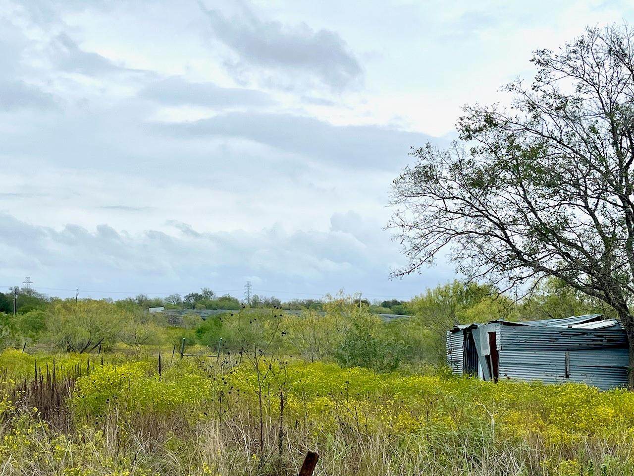 11604 Moore Rd - Photo 1