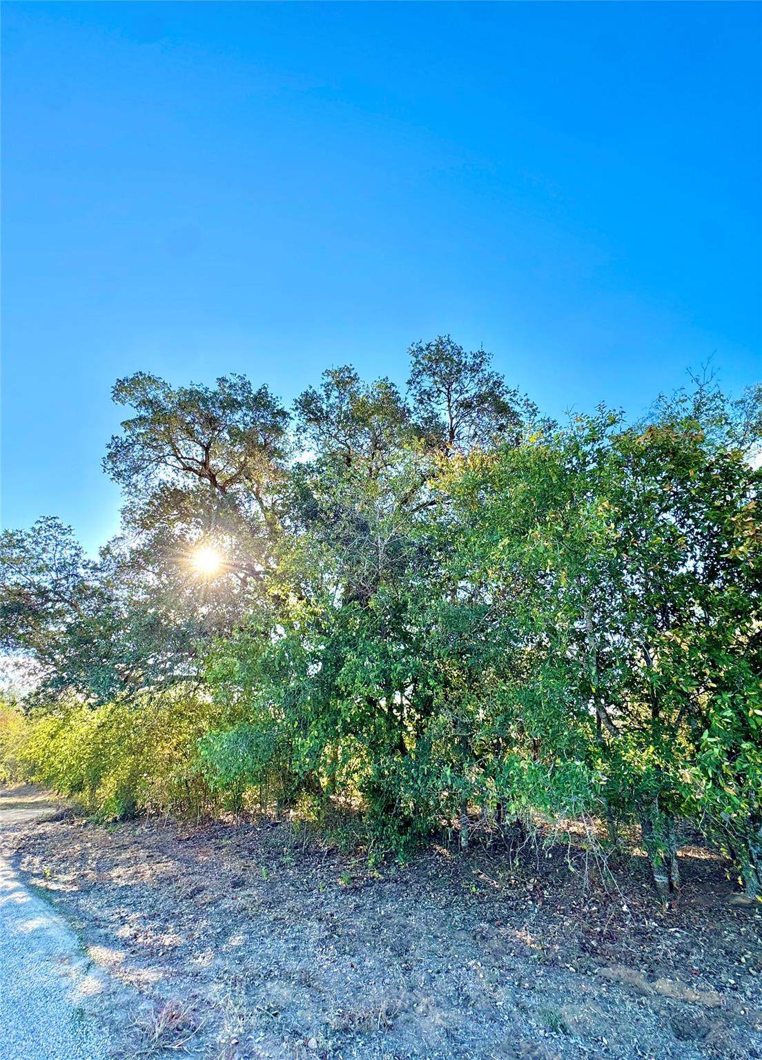 https://bt-photos.global.ssl.fastly.net/austin/1280_boomver_2_2067980-2.jpg