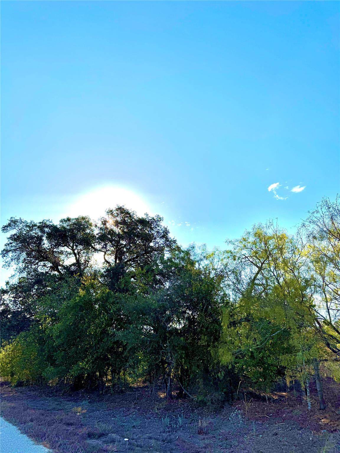 https://bt-photos.global.ssl.fastly.net/austin/1280_boomver_2_2067980-2.jpg