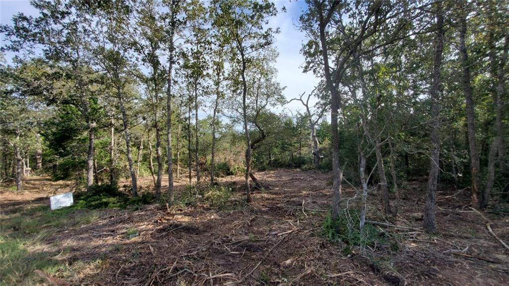 460 Boysenberry Rd - Photo 1