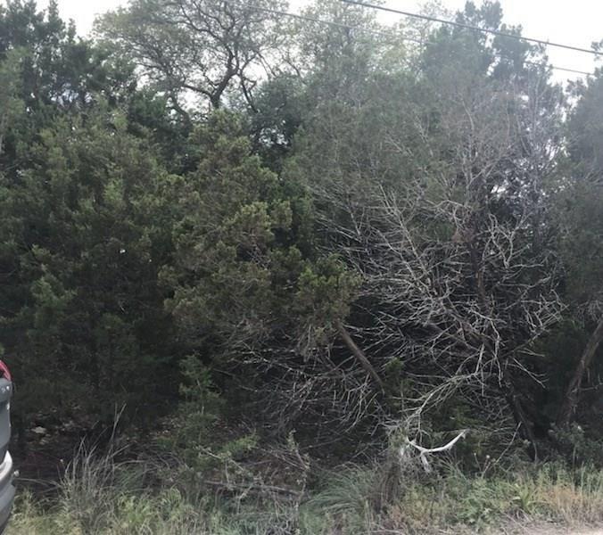 10718 Lake Park Dr - Photo 1