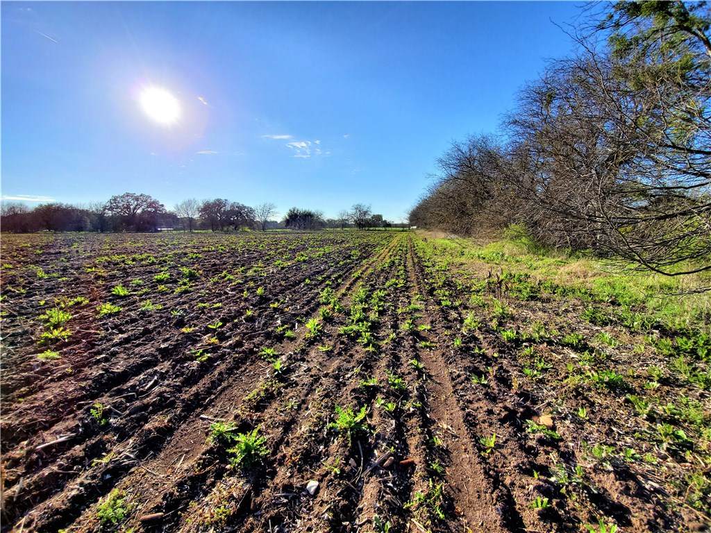 911 County Road 100 - Photo 1