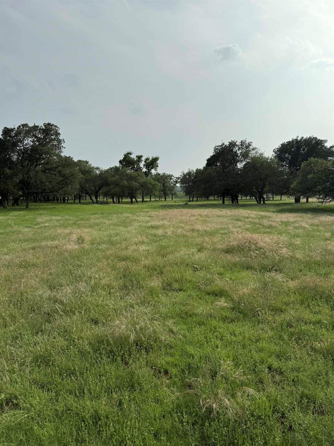2251 County Road 234 Ln - Photo 1