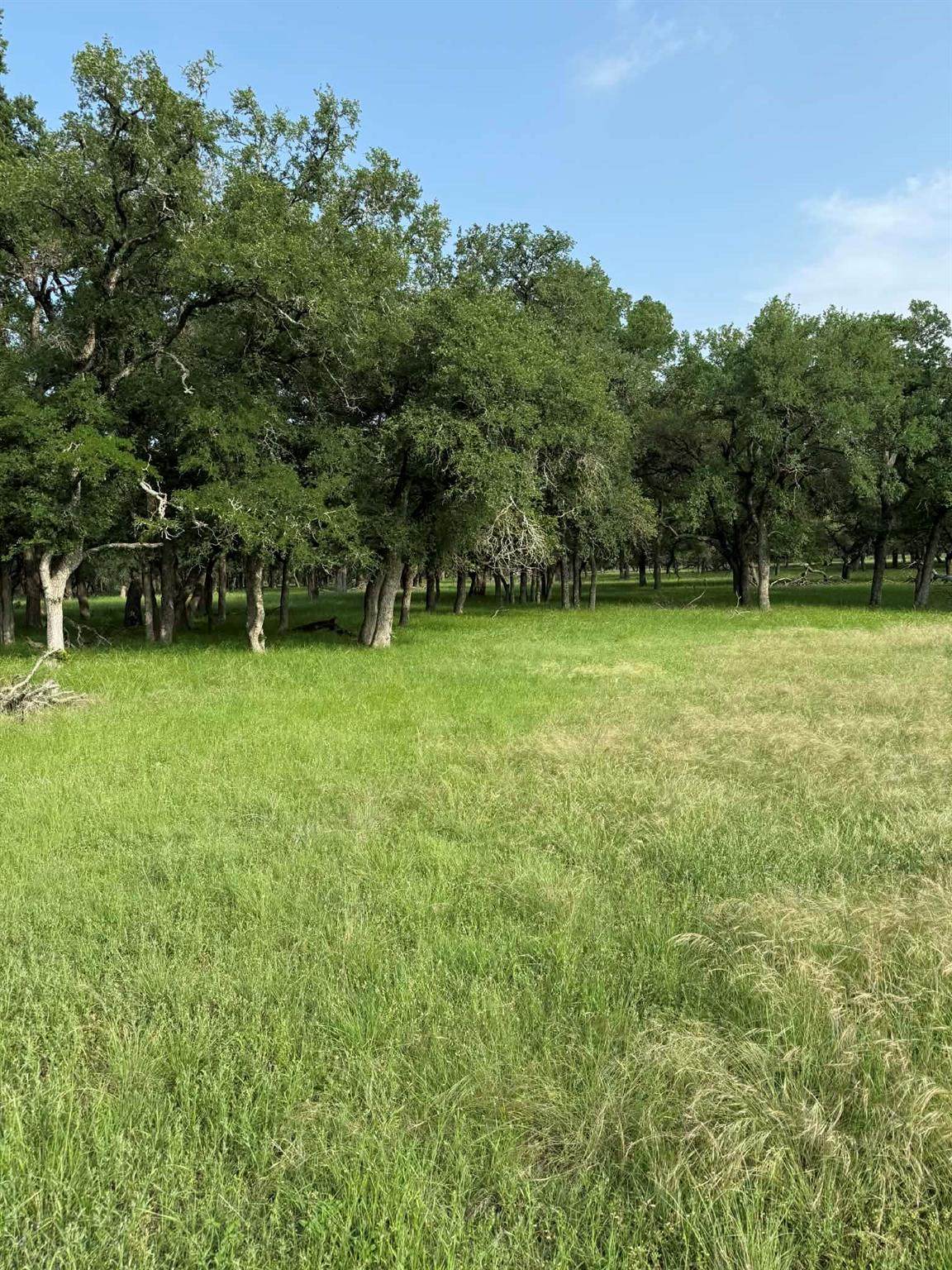 https://bt-photos.global.ssl.fastly.net/austin/orig_boomver_2_2709099-2.jpg