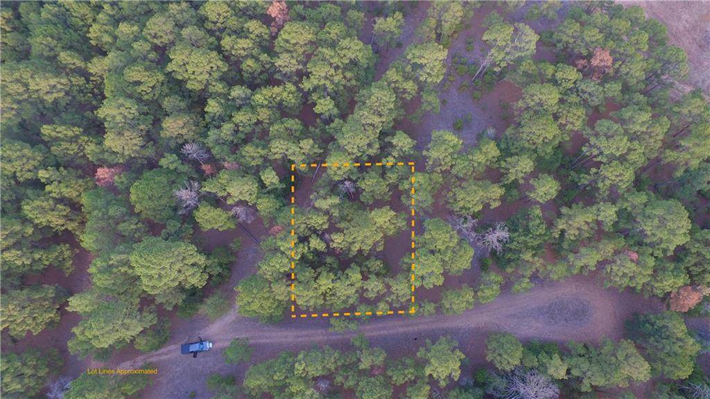 TBD LOT 24 Live Oak Ct - Photo 1