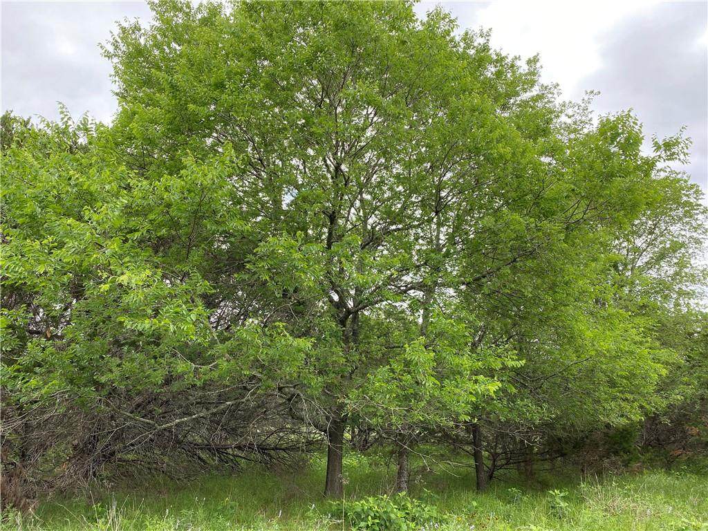 Lot 233 Quiet Meadow Cir - Photo 1