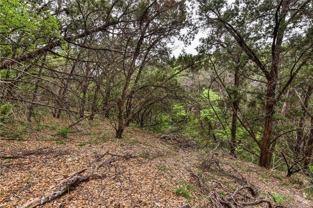 0000 Trail Of Madrones - Photo 1