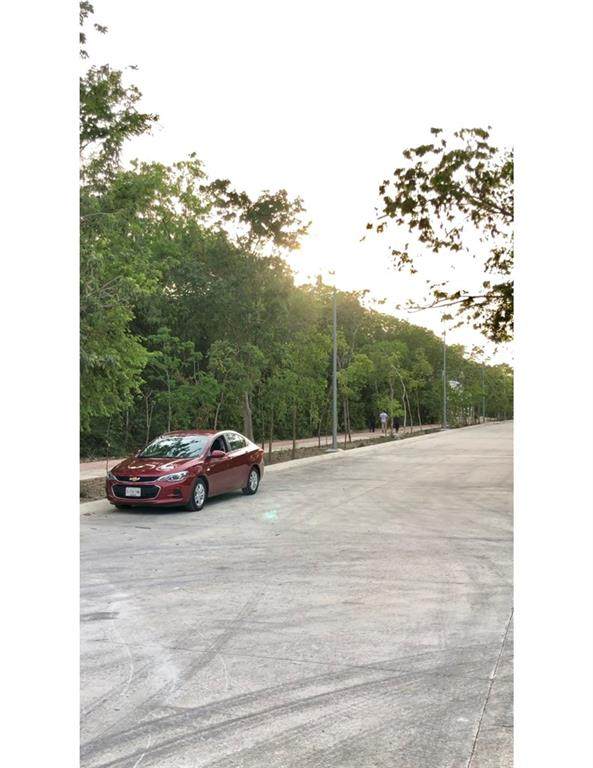 12 Parque Mexico Ave - Photo 1