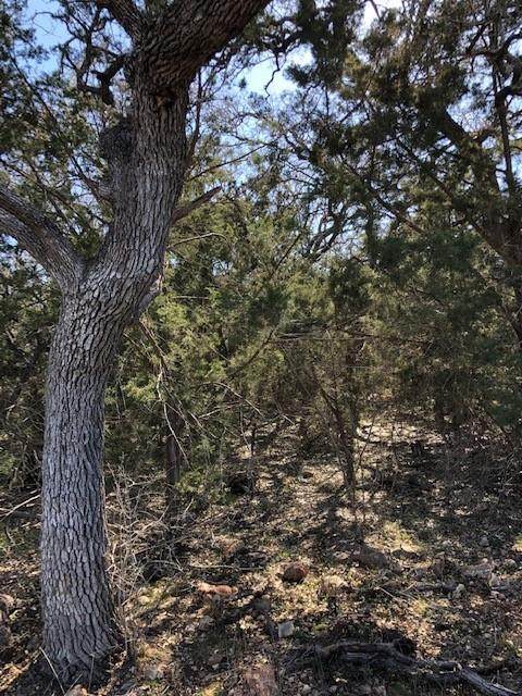 302 Shelf Rock Rd - Photo 1