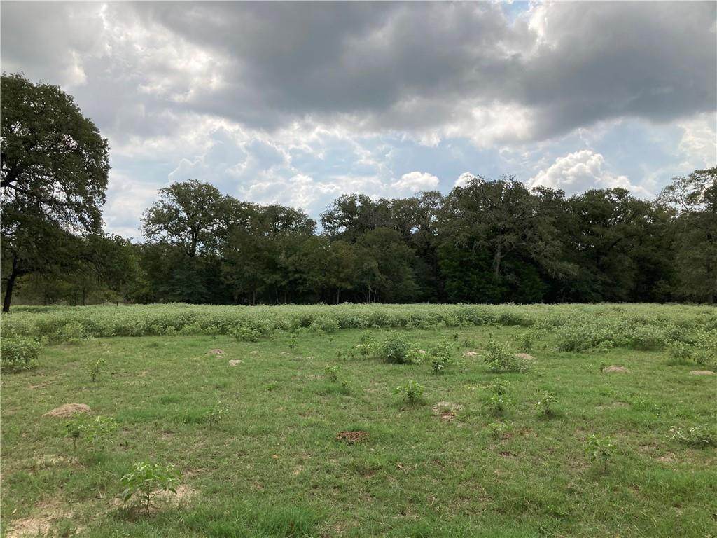3156 County Road 326 - Photo 1