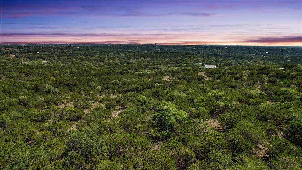 10667 Cedar Paw Lane - Photo 1