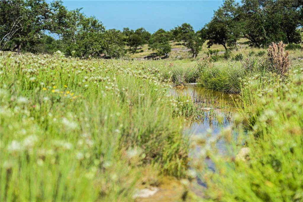 1874 Althaus Ranch Rd - Photo 1