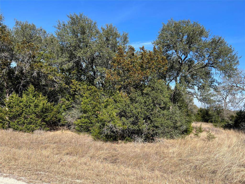 2054 Falconwood Dr - Photo 1