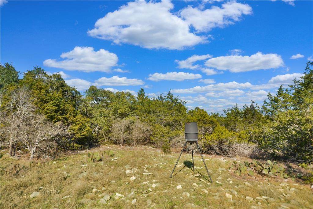 1130 Oakwood Loop - Photo 1