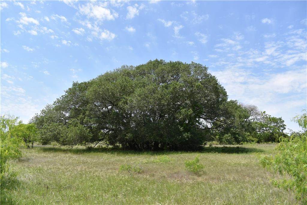 TBD Tract 2 High Crossing Rd - Photo 1